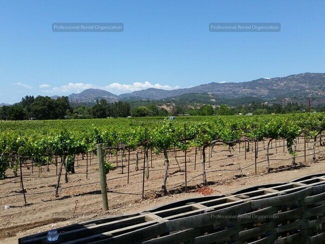 Building Photo - Coming Soon: Cozy Studio Cottage in Vineyard Setting