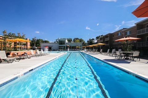 Pool - 7506 Parkwood Ct