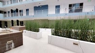 This multi-story building is centered around a striking open-air courtyard that serves as its architectural focal point. The courtyard is framed by the building's upper floors, which feature white-railed balconies and a clean, contemporary facade finished in soft blue and white tones. Abundant natural light floods the space from above, creating a bright and airy atmosphere throughout the day.

The courtyard itself is thoughtfully landscaped with large, white rectangular planters filled with tall ornamental grasses that rise dramatically, adding a strong vertical design element and a sense of natural privacy. The light-toned, smooth flooring runs throughout the open space, lending a clean and cohesive aesthetic.

A standout feature of the courtyard is a centrally positioned water feature clad in rich brown tile, complete with a cascading water element that introduces a soothing, ambient quality to the environment. Concrete seating elements are integrated into the layout, providing functional gathering areas within the courtyard.

Ground-floor units are directly accessible from the courtyard via sage-green painted doors, blending seamlessly with the overall color palette. Security and wayfinding elements are thoughtfully incorporated throughout. The design balances architectural structure with natural elements, creating a welcoming and visually cohesive communal space.