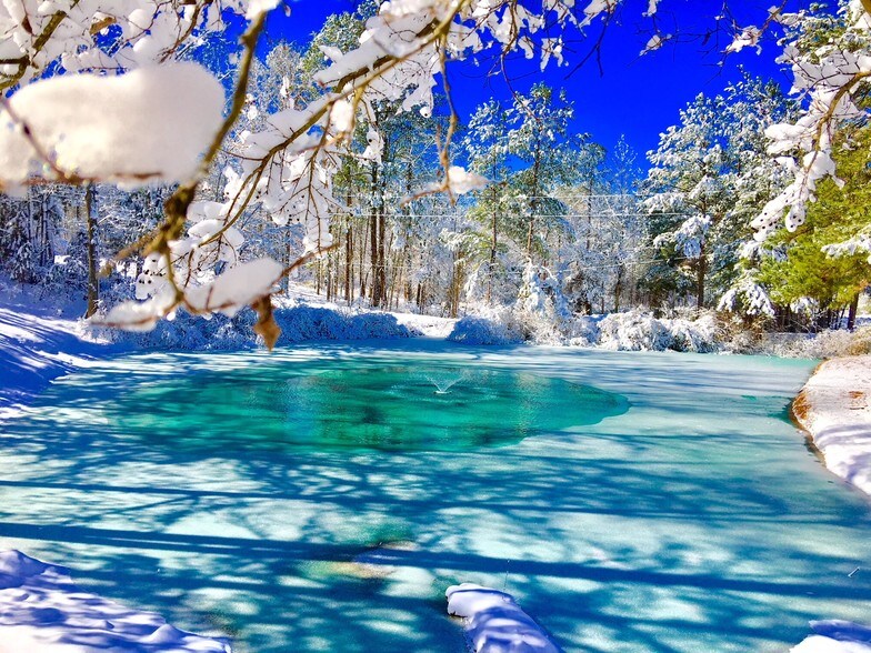 Highland Vista Rentals Creedmoor, NC