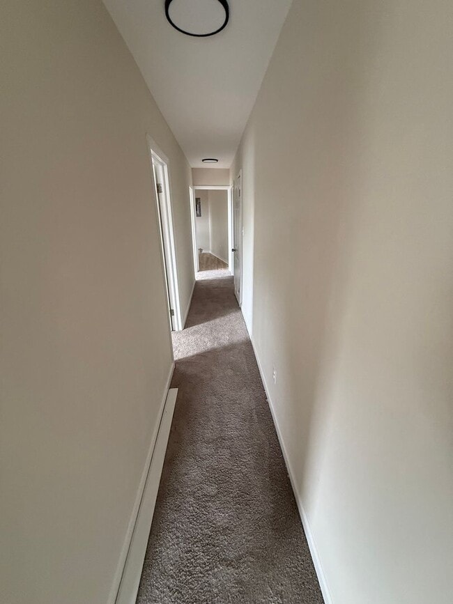 Building Photo - Newly Renovated 2 Bedroom Apartment in Bal...