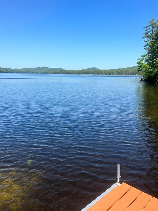 Foto del edificio - 117 Shore Rd