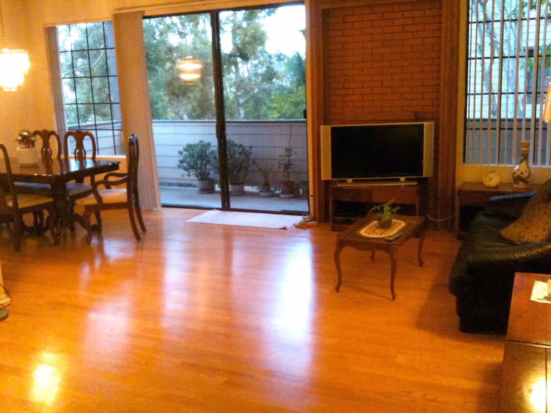 South facing Living room - 2563 Plaza del Amo