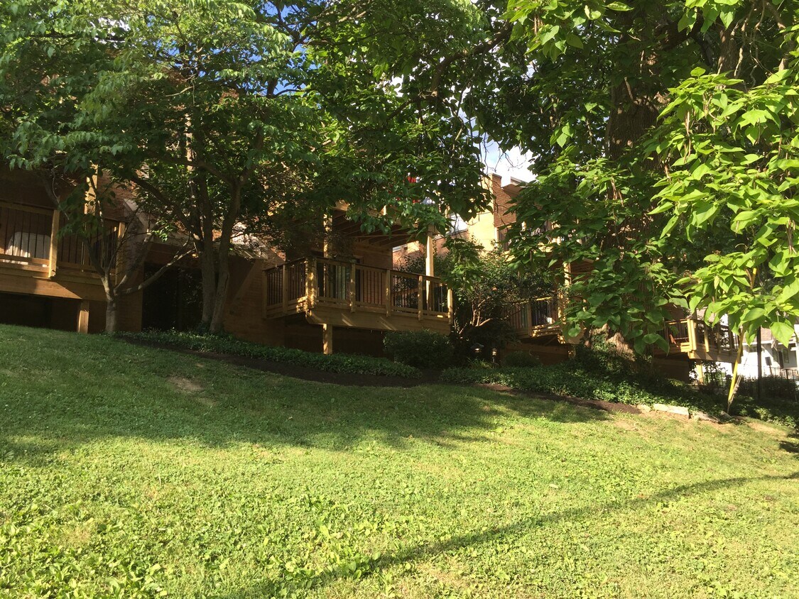 Primary Photo - 3572 Grandin Rd