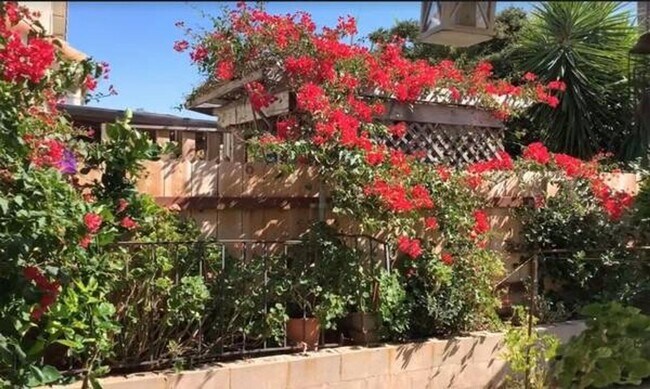 Foto del edificio - Four Bedroom Home in Sante Fe Hills, San M...