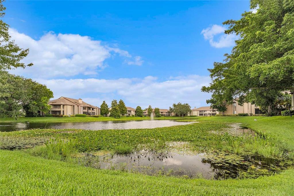 Foto principal - 10263 Gandy Blvd N