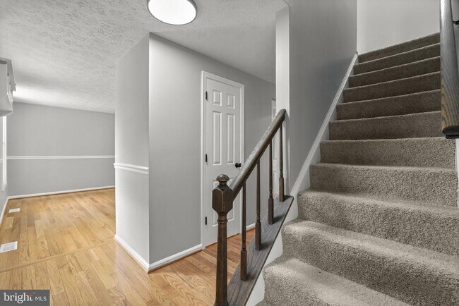 Building Photo - 8428 Braddock Way