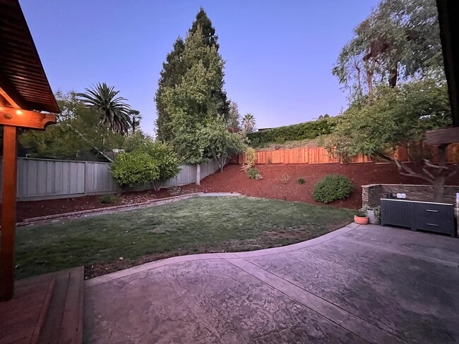 Backyard - 413 La Quinta Ct