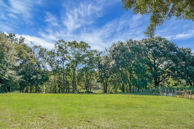 Los robles maduros dan sombra al patio trasero cerca del arroyo. - 2735 Exchange Landing Rd