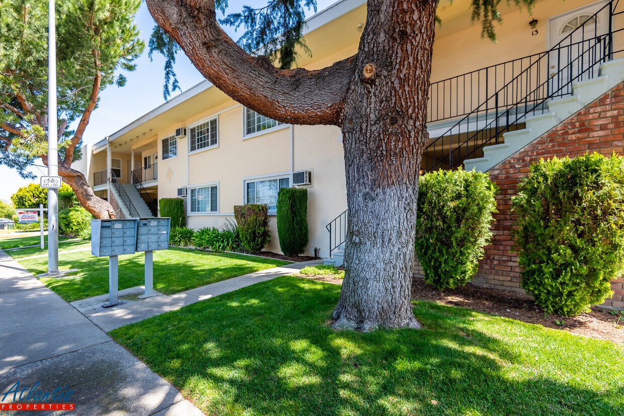 Foto principal - 935 Pomeroy Ave