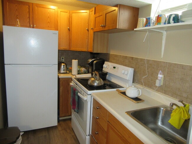 Kitchen with full size fridge/stove - 235 Deerpath Dr