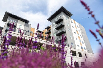 Building Photo - High Line Square