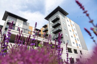 Building Photo - High Line Square