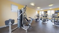 Located at 5825 Addison Park Dr in Huntsville, Alabama, this fitness center offers a well-equipped, single-floor workout facility designed to support a comprehensive exercise routine. The space is finished with warm yellow walls and durable rubber flooring, creating an energetic yet functional environment suited for daily use.

The cardio section is stocked with multiple TRUE-brand treadmills, elliptical machines, and an upright stationary bike, all positioned to take advantage of natural light streaming through several window openings fitted with blinds. A wall-mounted television accompanies the cardio area, providing entertainment during workouts.

The strength training area features a multi-station cable and weight machine, ideal for a wide range of resistance exercises. A dedicated free weights section includes a full rack of dumbbells alongside a adjustable workout bench, supported by a large wall mirror that enhances the sense of space and assists with form. Exercise mats are also available for floor-based training.

Flush-mounted ceiling lights provide consistent, even illumination throughout the room. The facility includes two interior doors — one leading to an entry vestibule with exterior access — ensuring convenient entry and exit. Sanitation stations and waste receptacles are thoughtfully placed throughout. The overall layout is open, organized, and efficient, offering residents a complete on-site fitness experience.