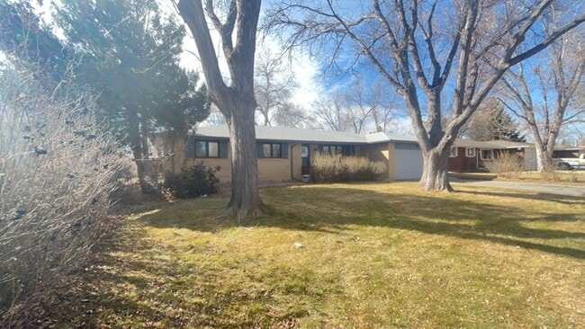 Photo - Fantastic Home in North Loveland