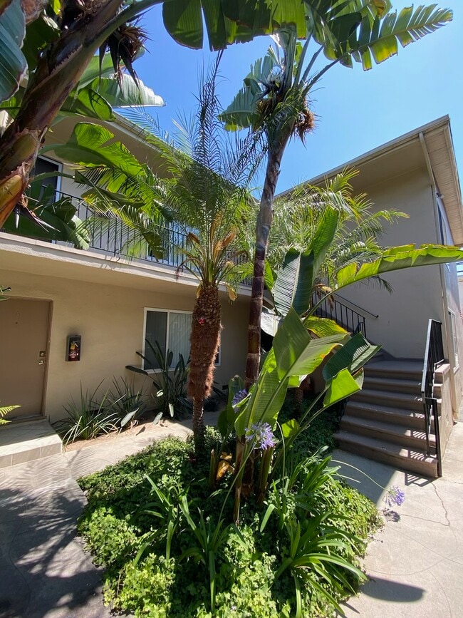 COURTYARD - 3545 Jasmine Ave