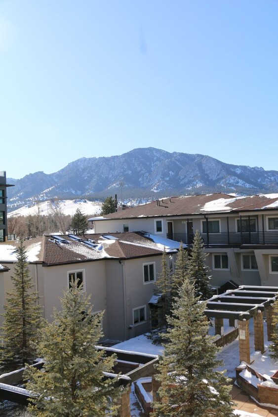 Primary Photo - 4 Bedroom Condo Next to CU Campus - Availa...