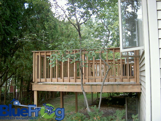 Building Photo - 525 Clement St