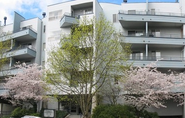 Foto del edificio - Terrace Villa Apartments