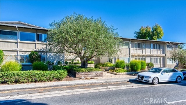 Primary Photo - 1702 Westcliff Dr