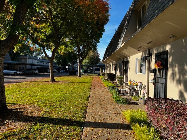 Carport located at the north end of this walkway - 888 Rutledge Dr