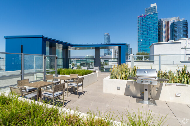 Rootop terrace - 1400 FIG Apartments