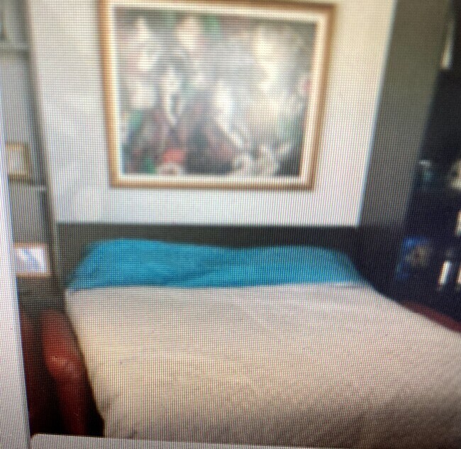 Sleeping area, Murpy bed opened - 3525 Polk St