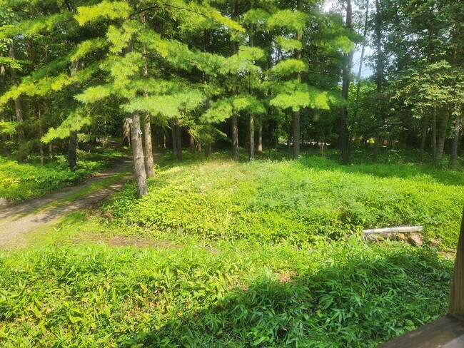 Patio delantero - 6666 Bloomfield Ln