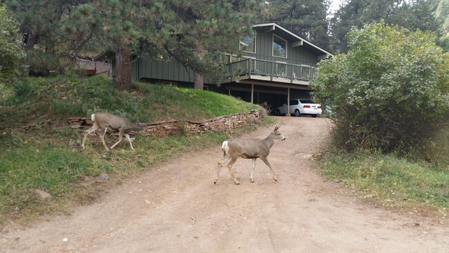 Building Photo - Available Boulder's best kept secret.  Mou...