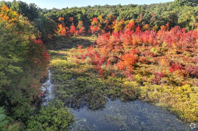 The beauty of Mill Brook Wetlands in South Wilmington is evident in the Fall.