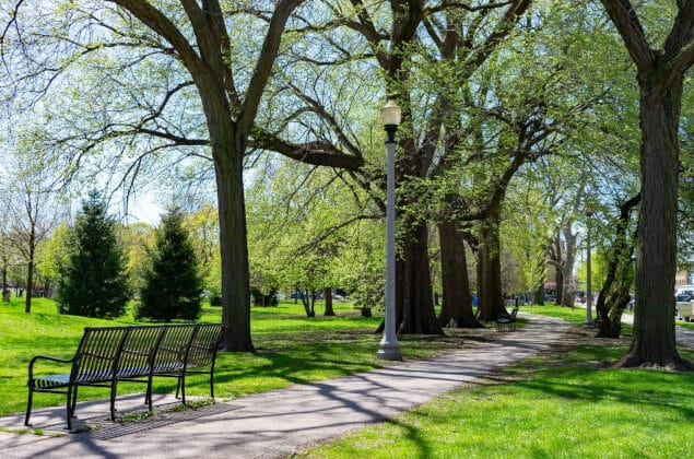 A beautiful summer day at Welles Park
