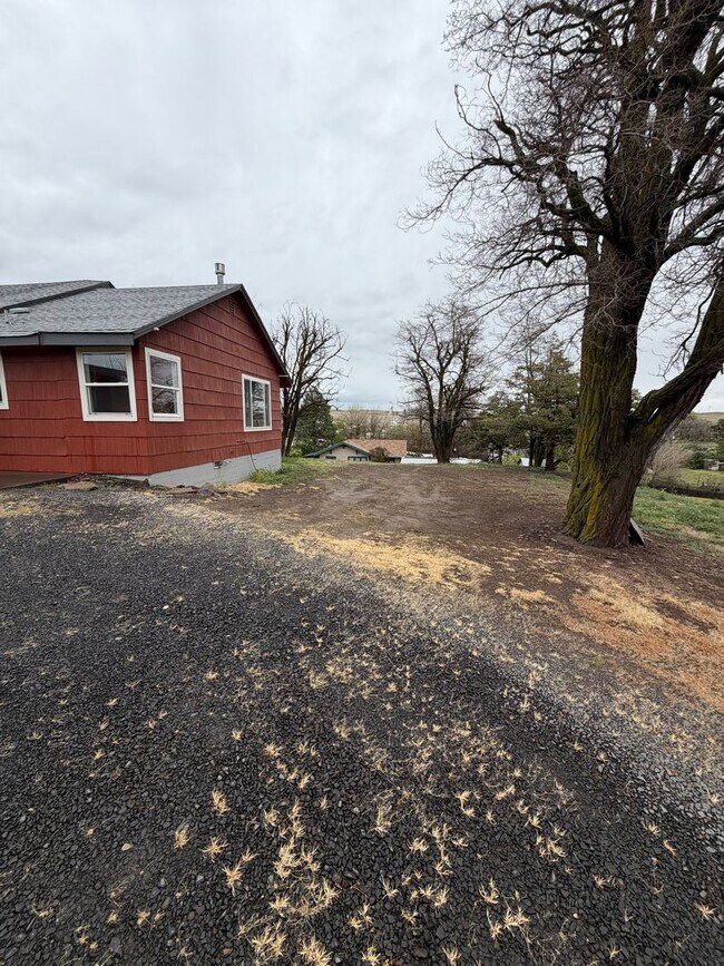 Foto del edificio - Cozy 2 bedroom 1 bath updated home!