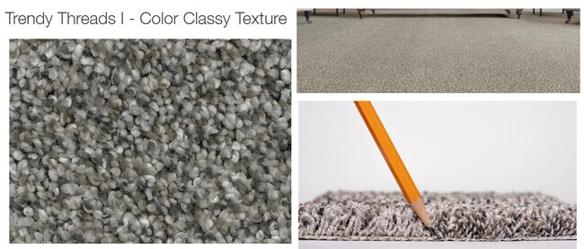 Plush Carpet - 1941 Evergreen St
