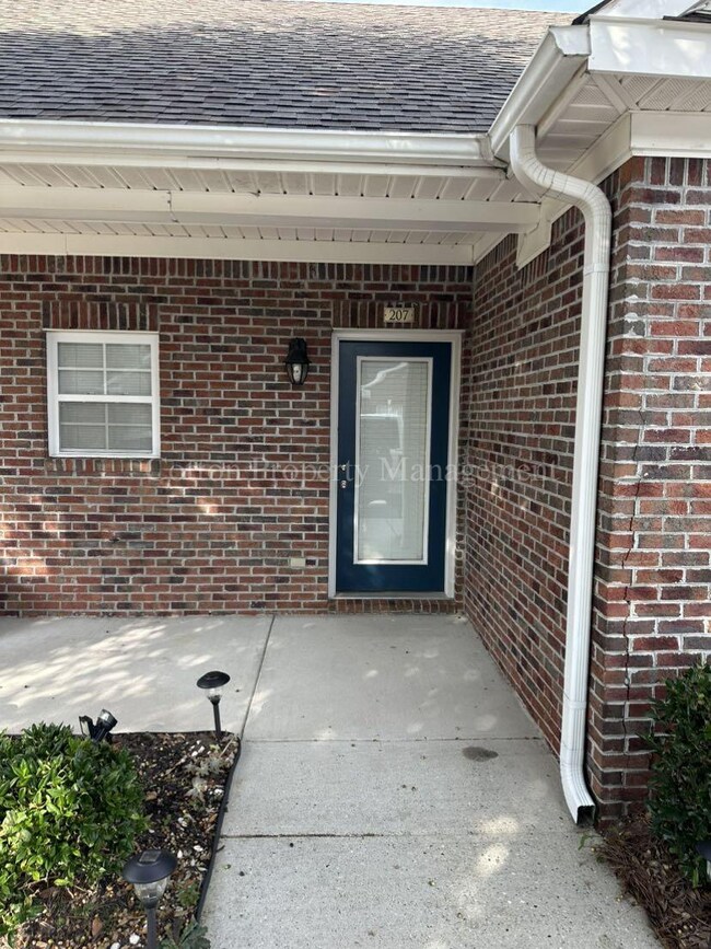 Foto del edificio - 207 Hibiscus Way