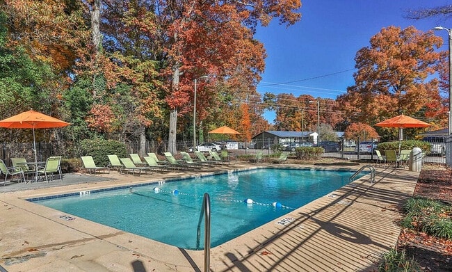 Sparkling Swimming Pool - The Wade