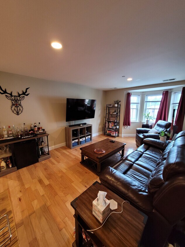 Living Room - 120 Wyllis Ave