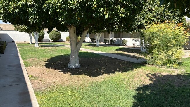 Photo - 10620 W Coggins Dr (Sun City, AZ) Apartment