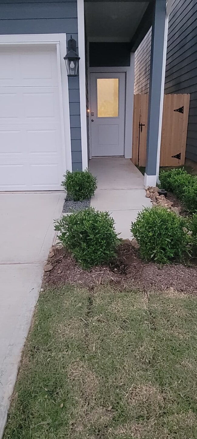 Building Photo - 3566 Blue Mockingbird St