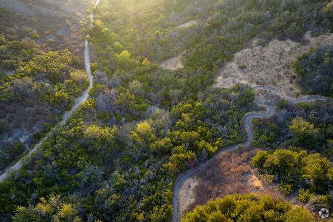 canyon above