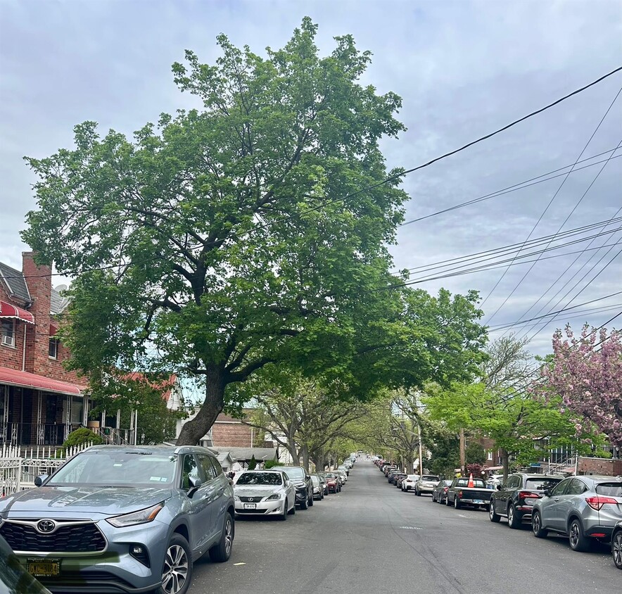 Foto principal - 4029 Murdock Ave