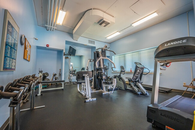Fitness Center - Delaire Landing