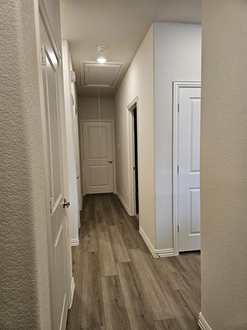 Building Photo - 3716 Cisco Dr