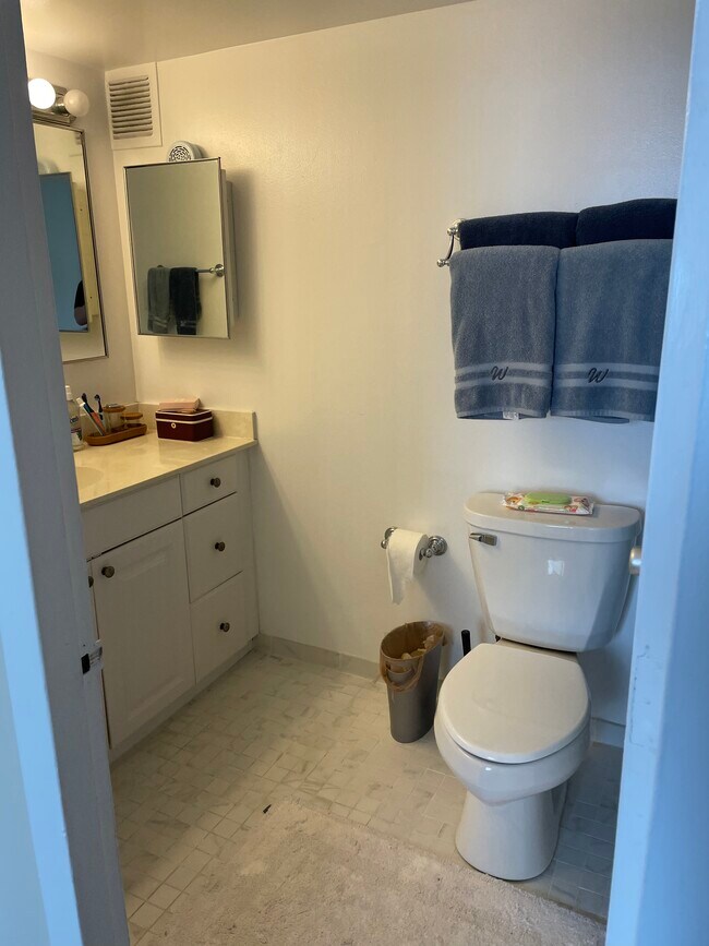 Bathroom - 3110 N Sheridan Rd