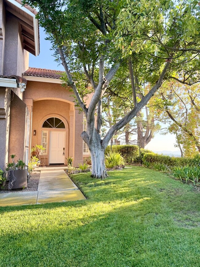 Building Photo - 2356 Cll Petula