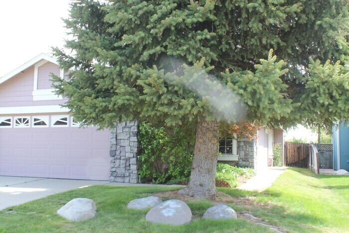 Foto principal - 3 bed 2 bath 2 car Garage Northwest Reno H...