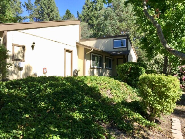 Corner Lot - 2405 Deer Tree Ct