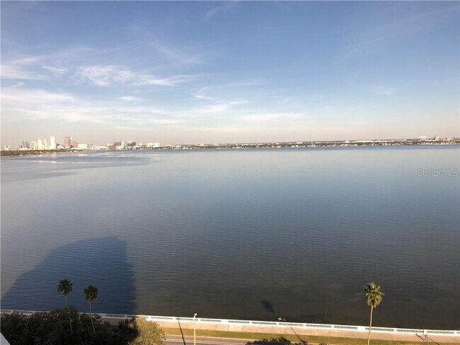 Foto del edificio - 3507 Bayshore Blvd