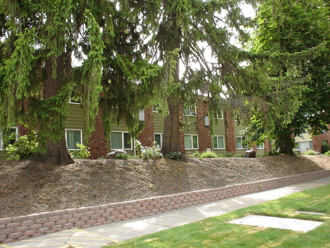 Primary Photo - 343 Catherine St