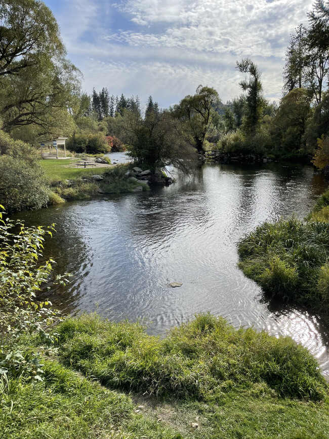 Little Spokane River-Pine River Park (west boarder of neighborhood) - 1013 E Greenleaf Dr
