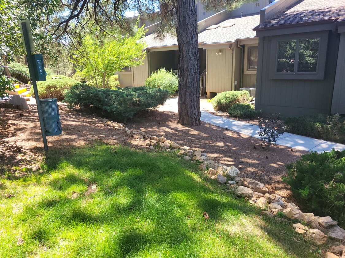Primary Photo - Beautiful 1 bedroom/ 1 bathroom Tanglewood...